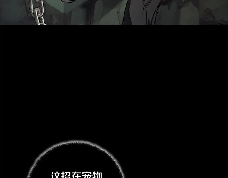 第20话 这叫散步？15