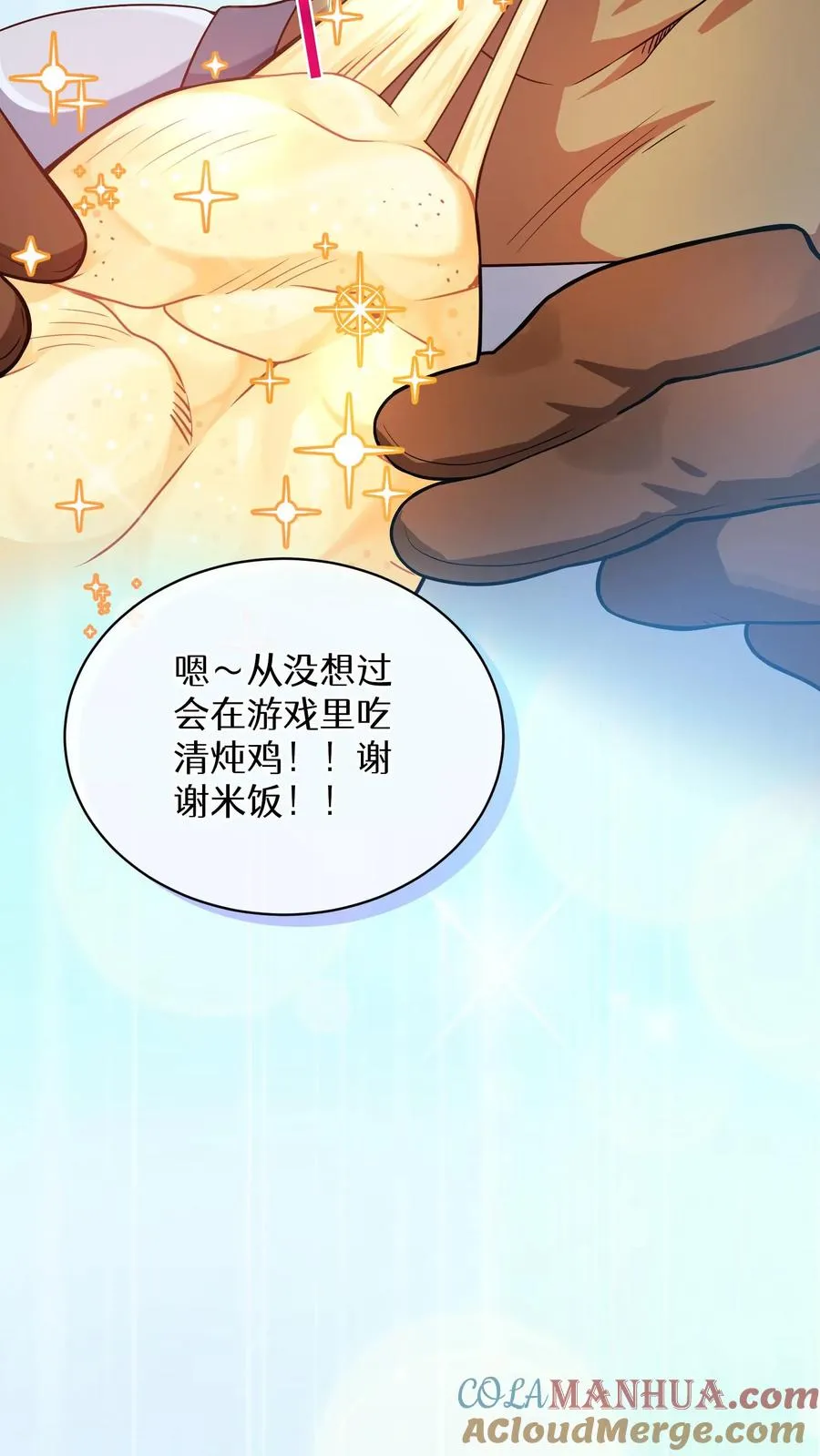 31. 清炖鸡27