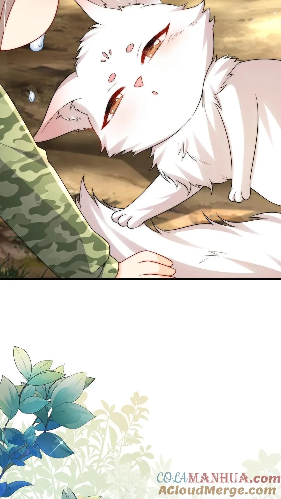 第285话 白狐说话6