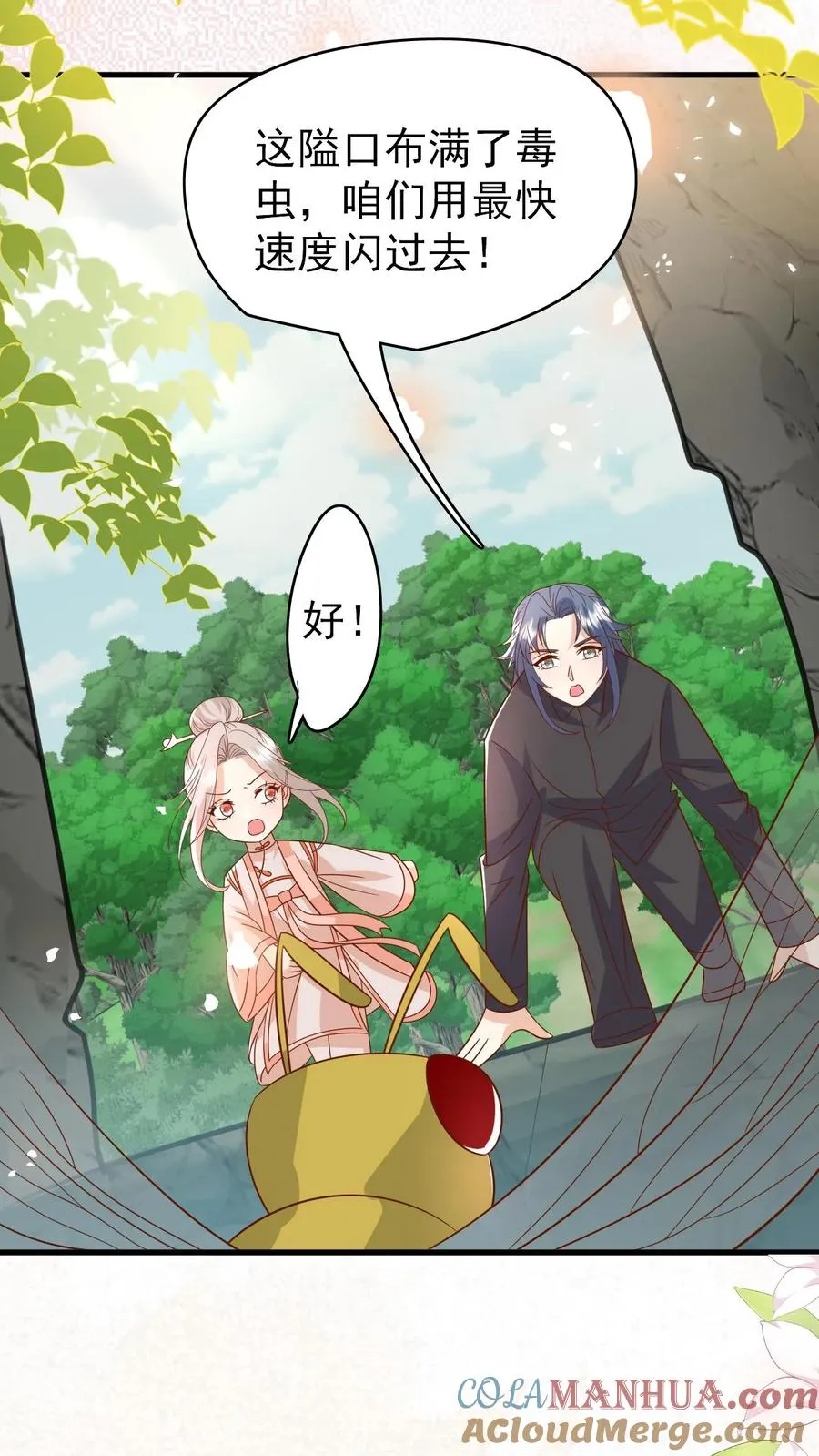 第209话 让冷师兄娶你2