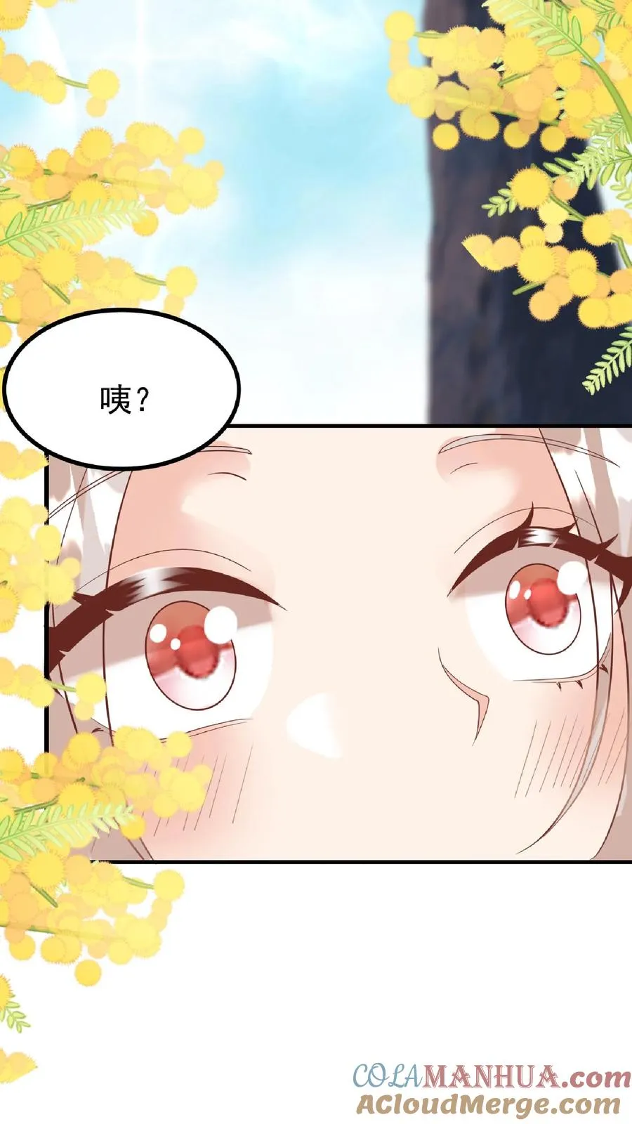 第165话 诡异的梧桐树16
