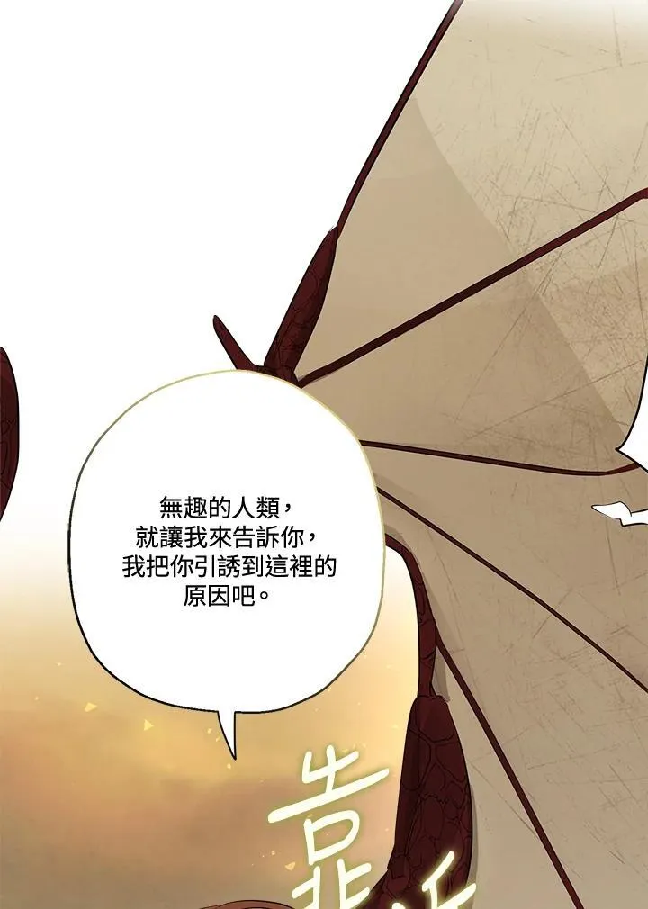 第78话41