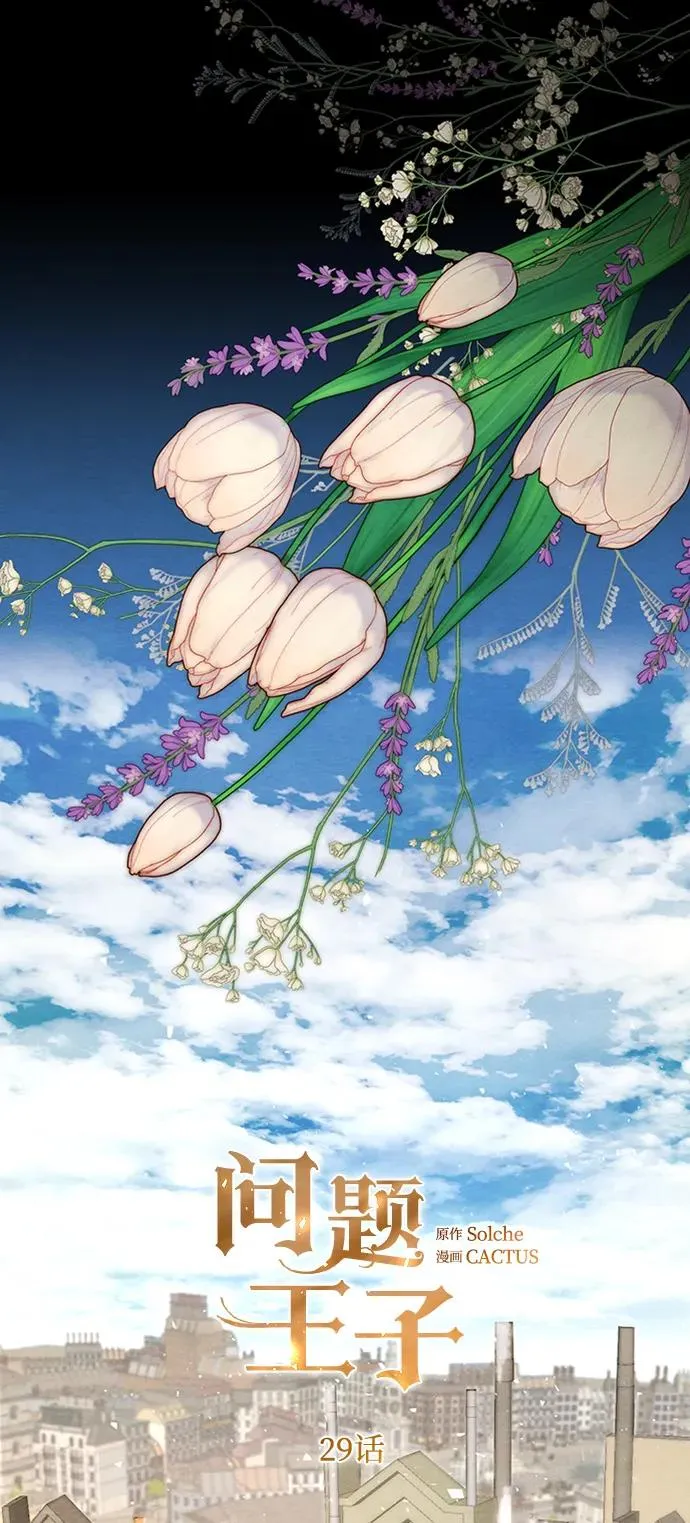 [第29话] 最完美的整理23