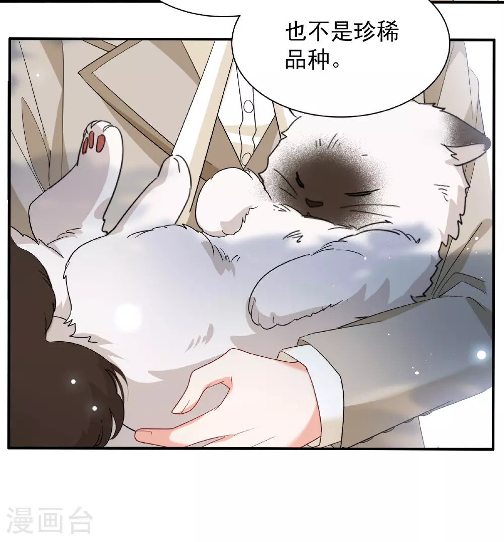 特别番外6-3 管家的烦恼4