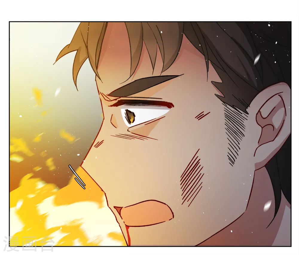 第196话 算无遗策216