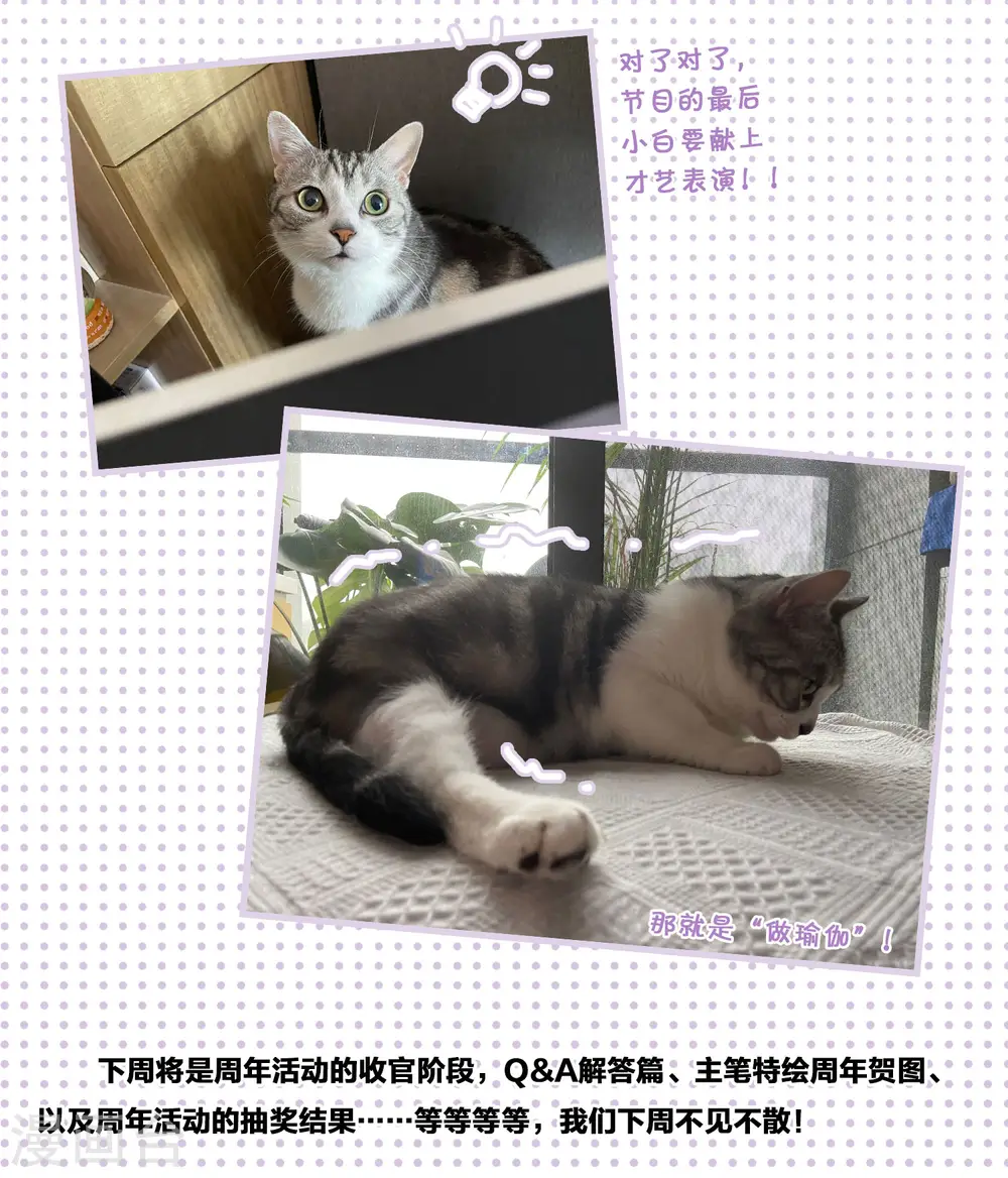 一周年活动38