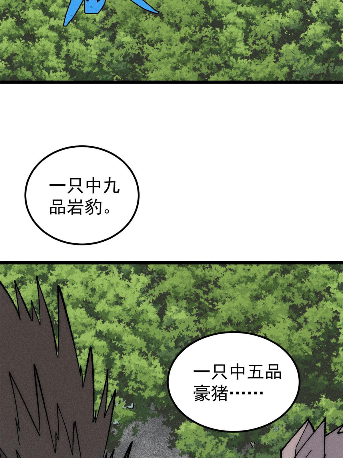202 掌门的粉丝3