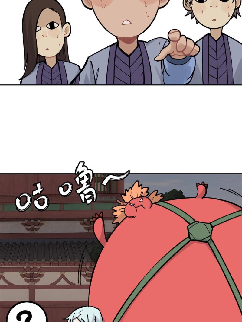 145 皮，特别皮23