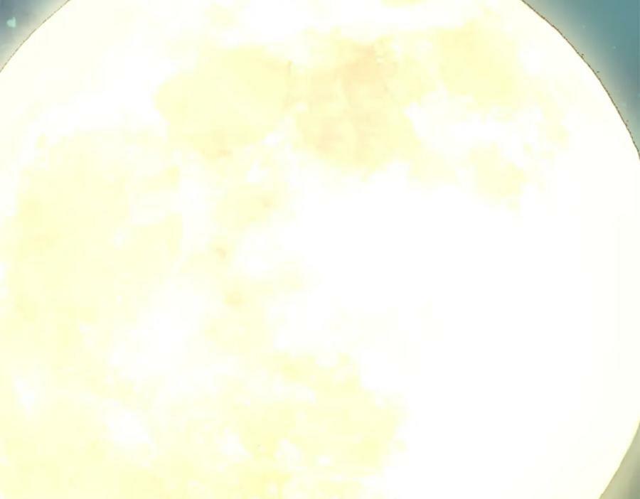 237 又破纪录了27