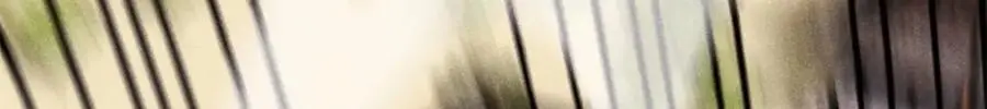 276 铁骨铮铮派集体摆烂173