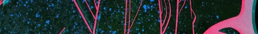 297 追回芊芊111