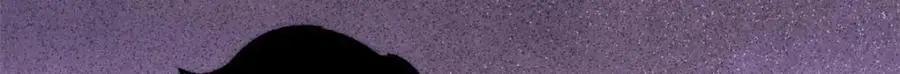 293 夜帝的女粉48