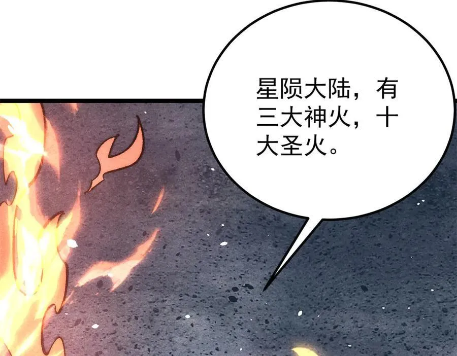 311 神火灼体10