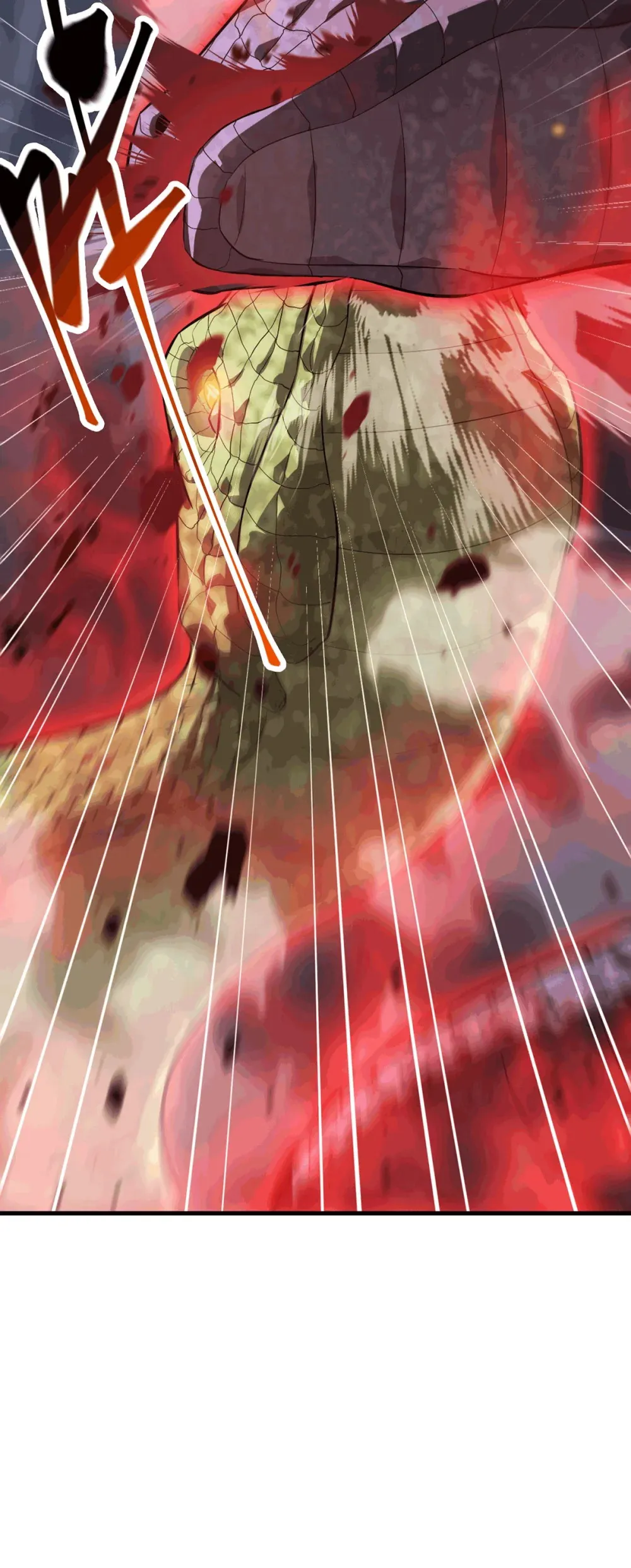 16 缔结契约24