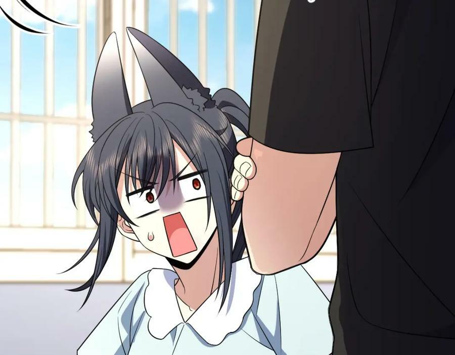17051