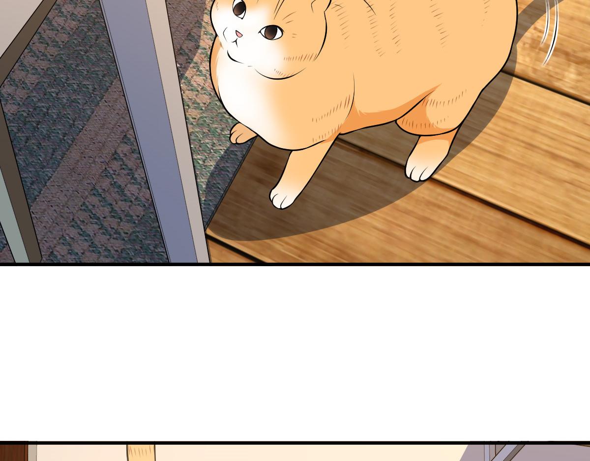 21161