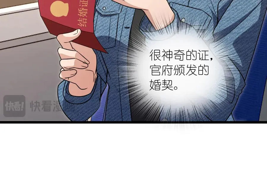 26233