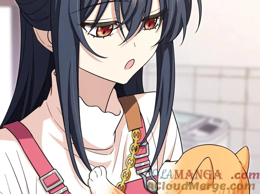 266144