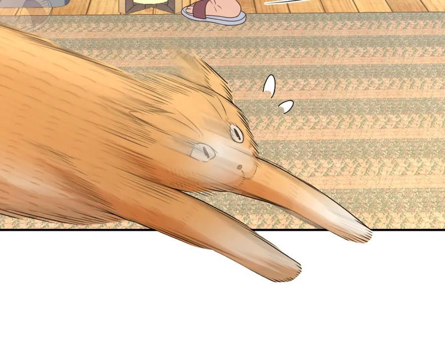 20926