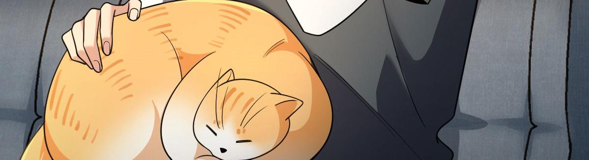 11419