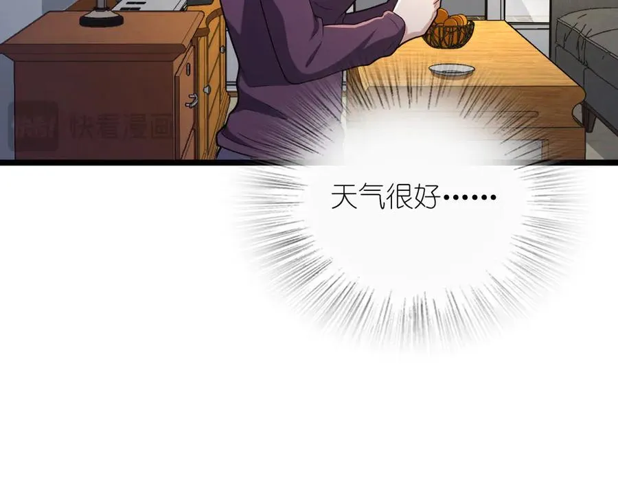 26118