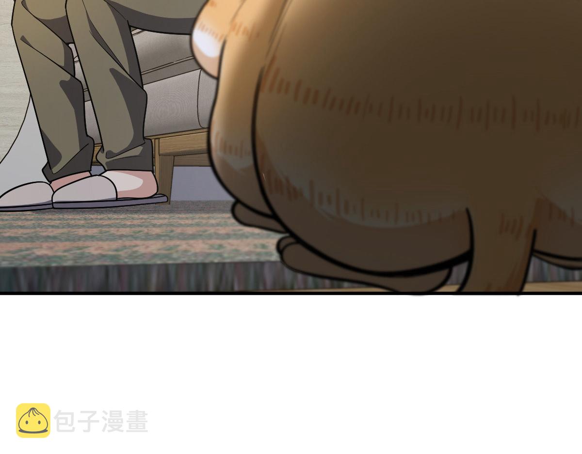 51117