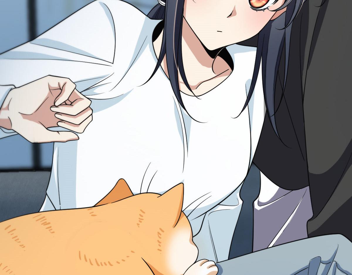11377