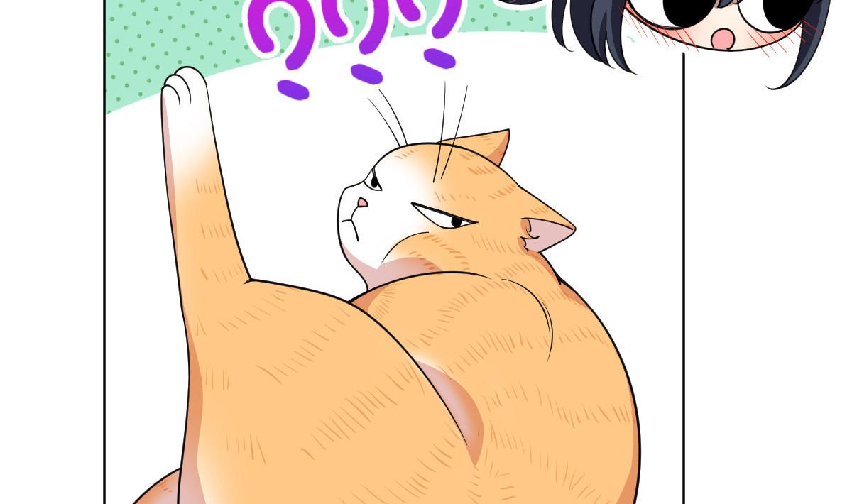 12243