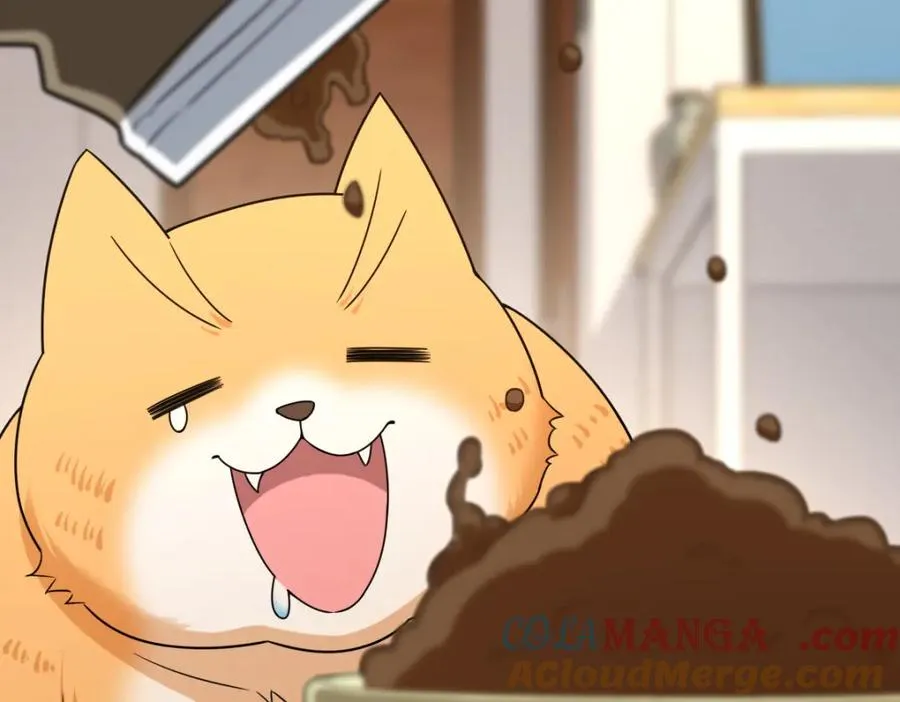25536