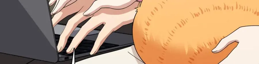 25043