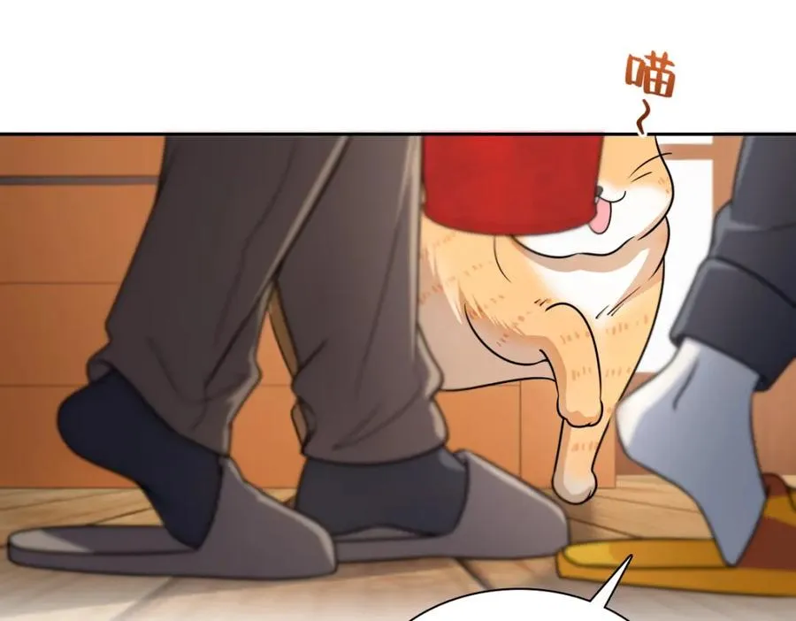 24081