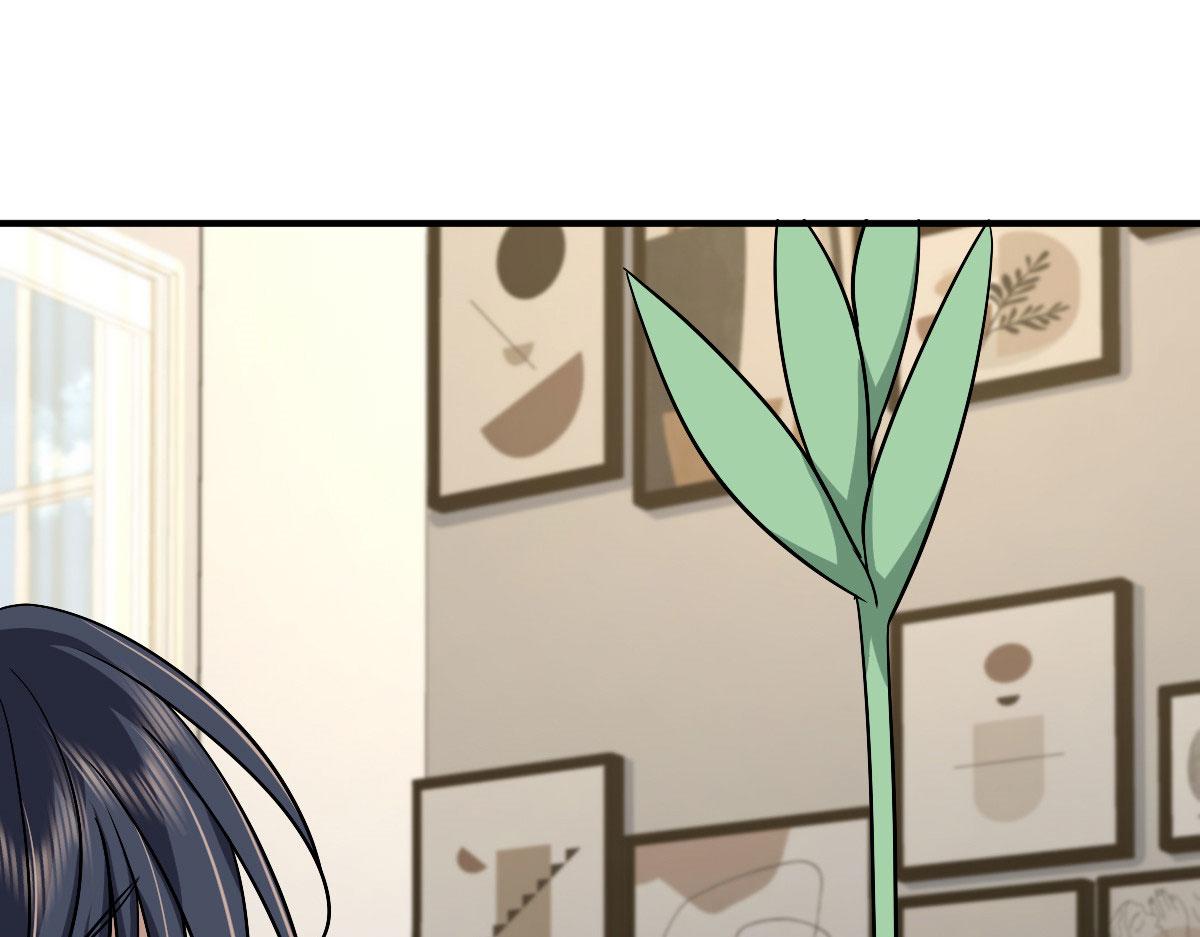 4617