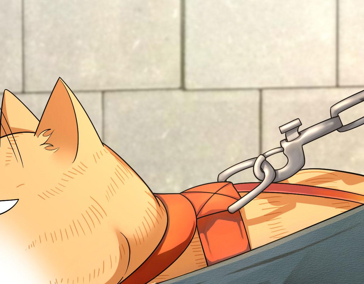 7211