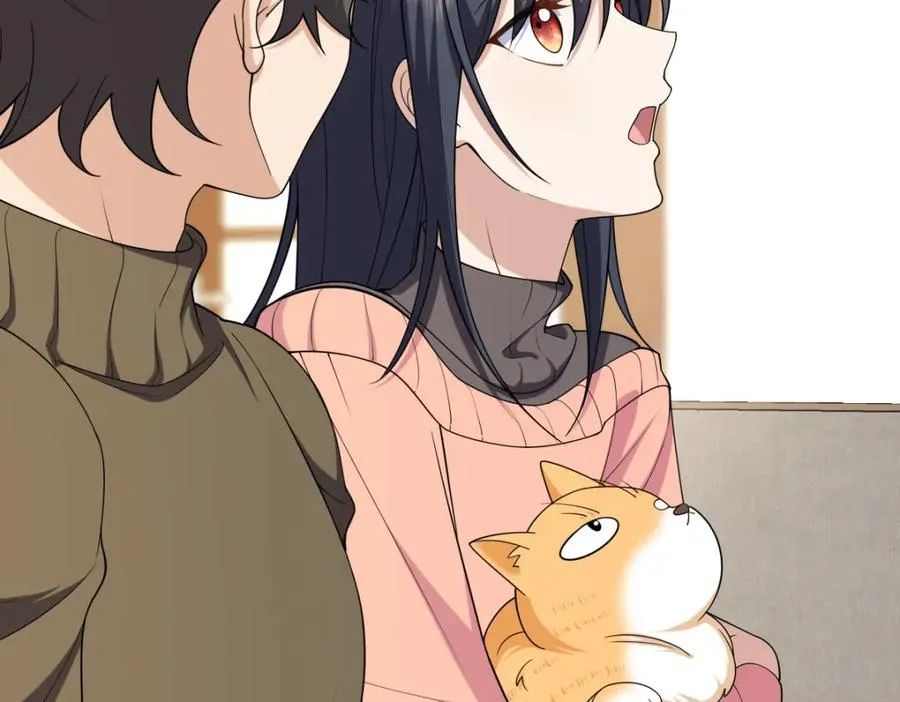 25329
