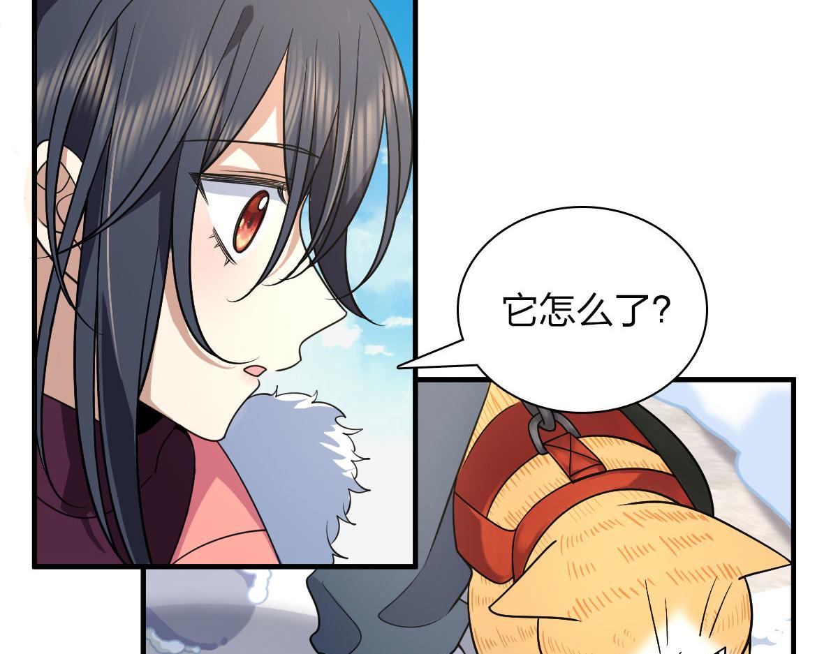 7221