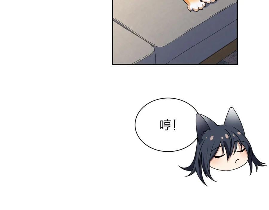 20545