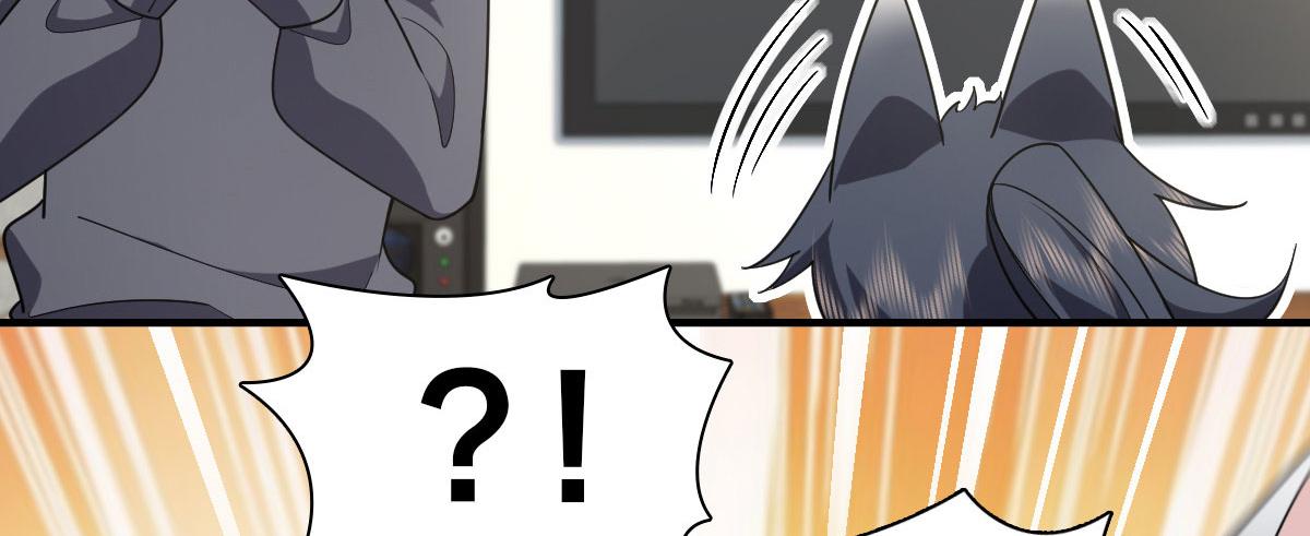 91117