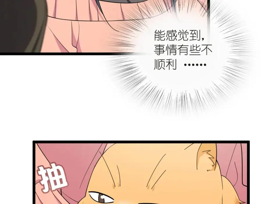 25038
