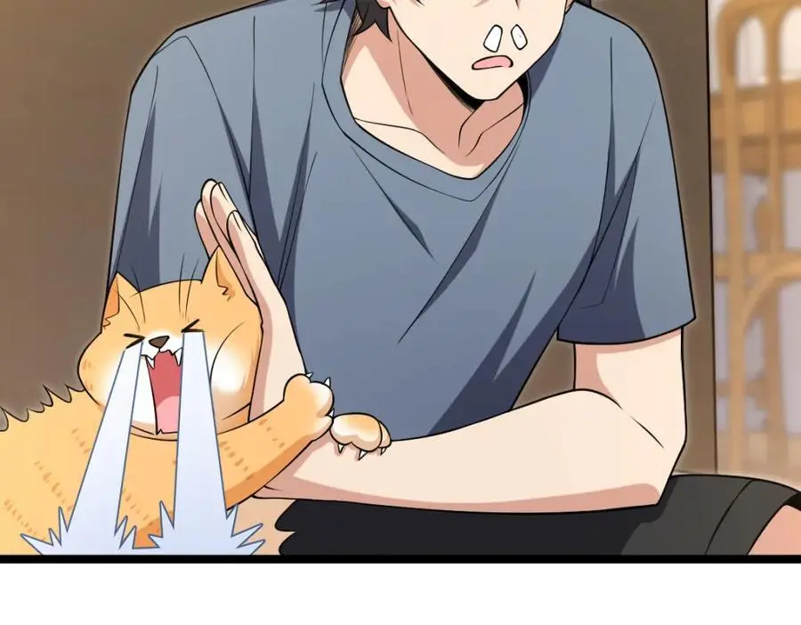 22954
