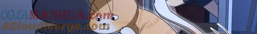 213156