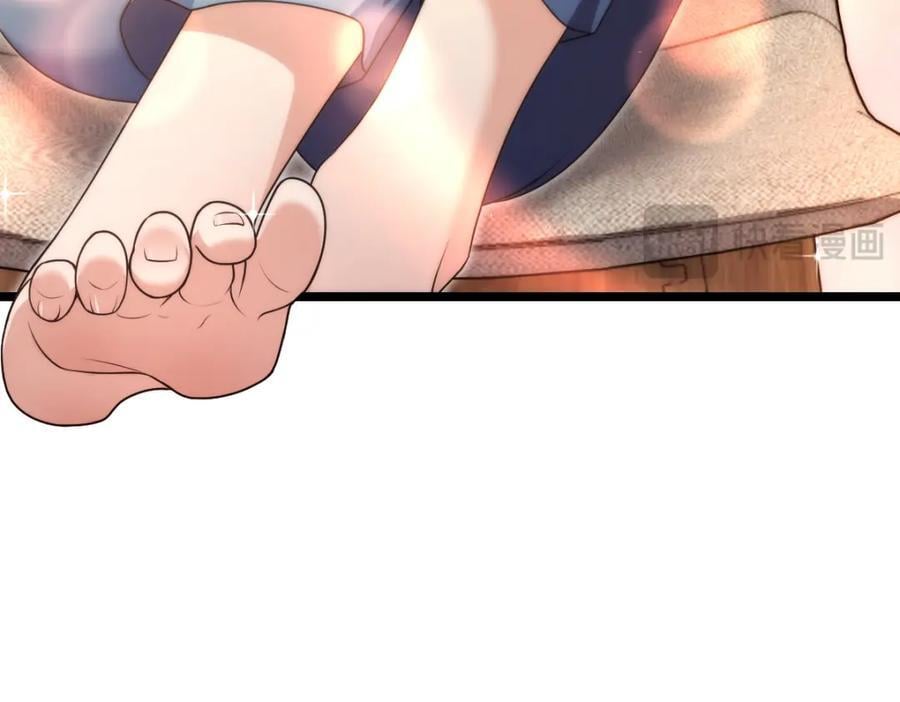 20733