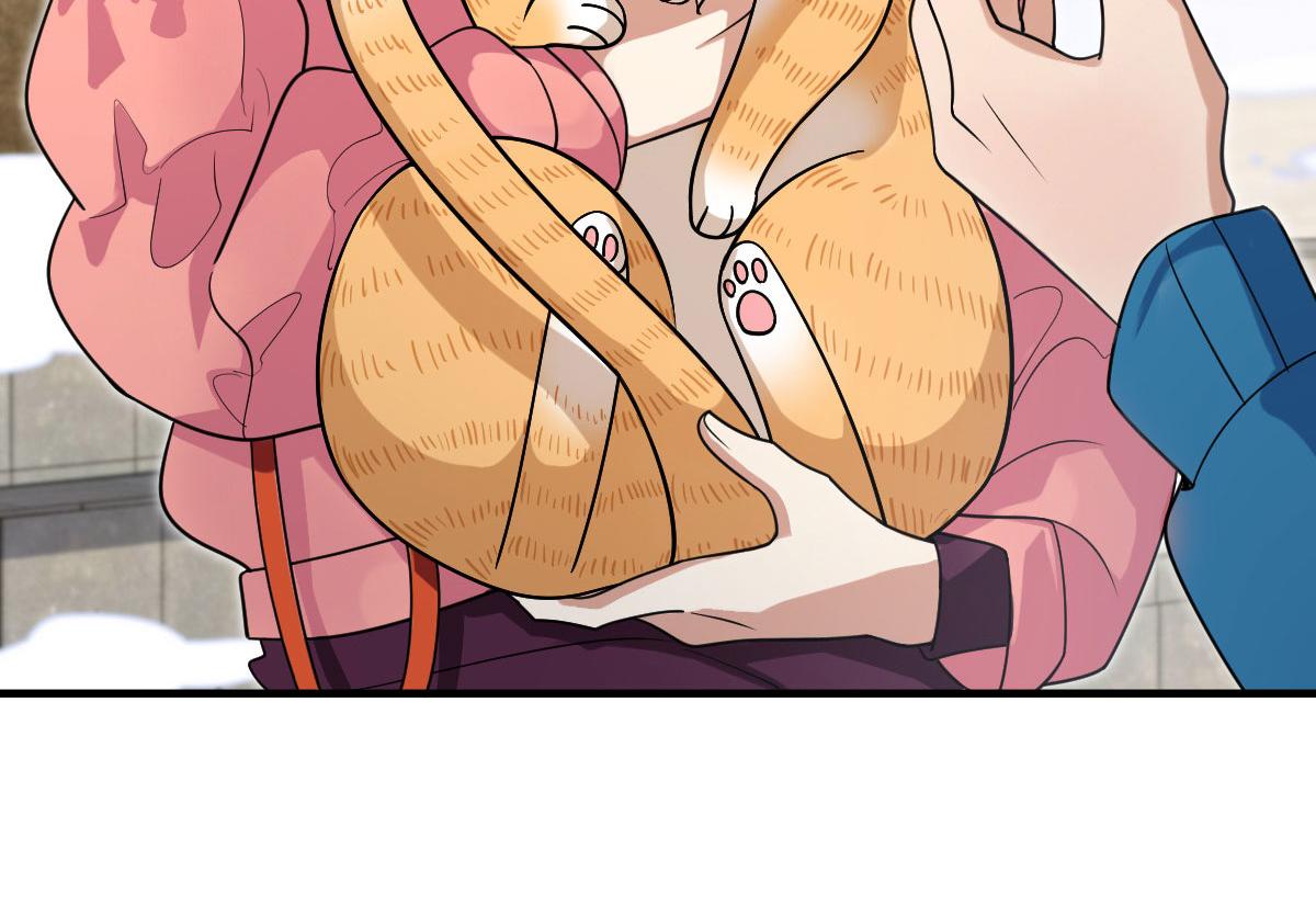 7231