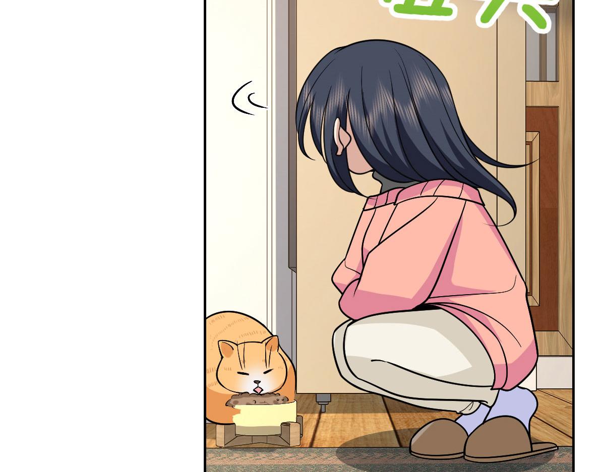 8254