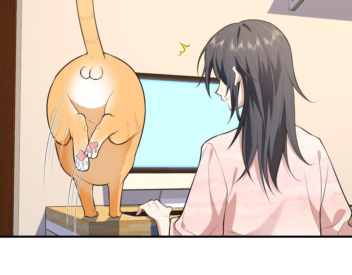 21162