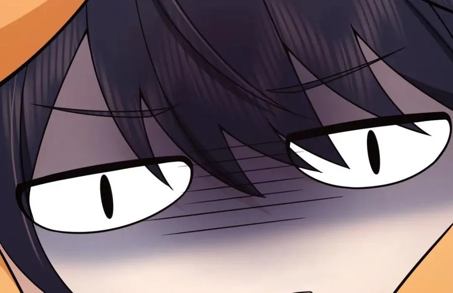 255117