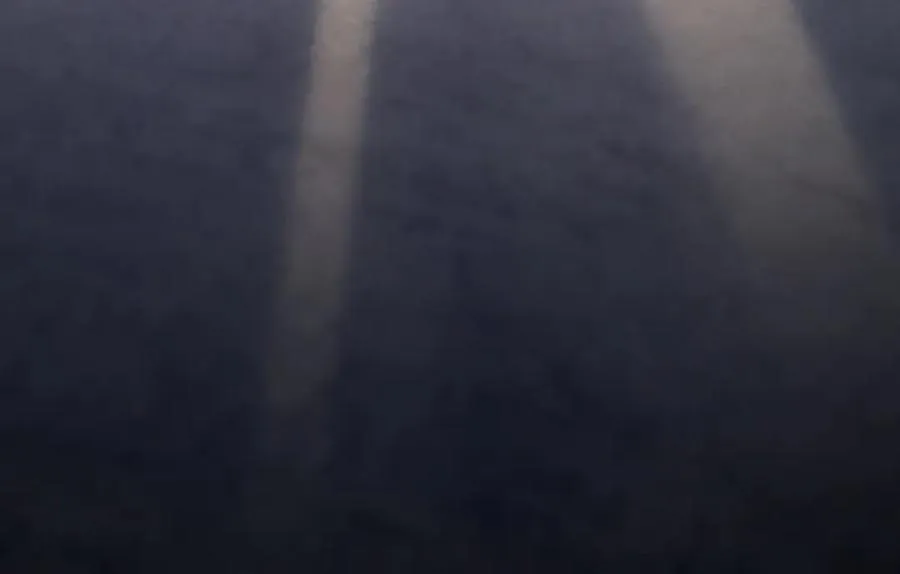 269202
