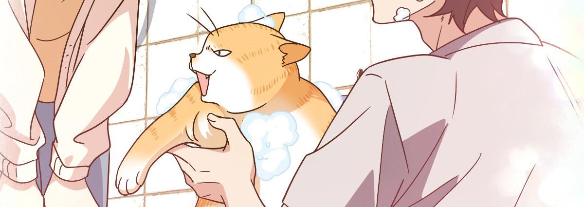 58114