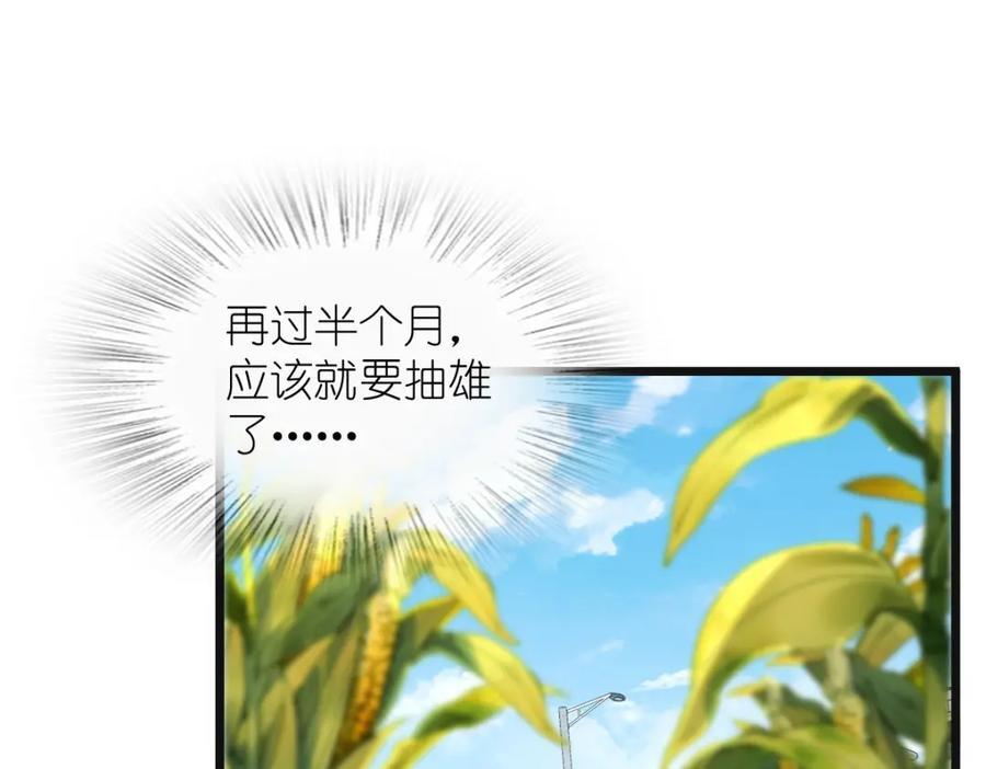 20614