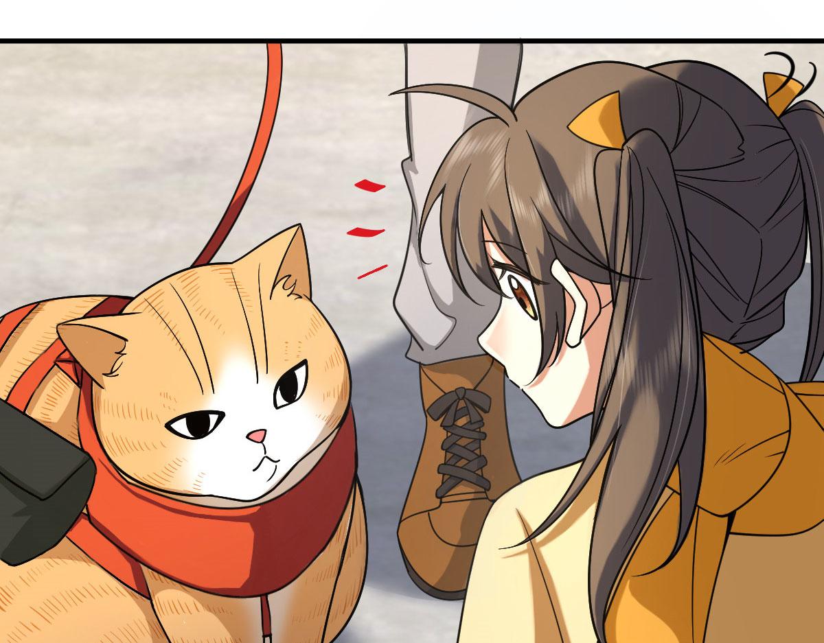7265