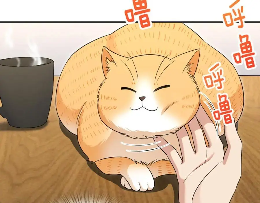 213118